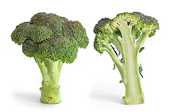 Purple sprouting broccoli