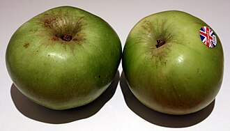 Cooking apple