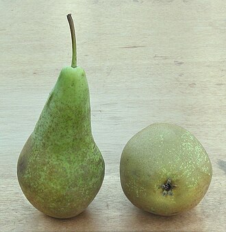 Pear