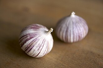 Garlic
