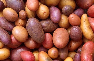 New potatoes