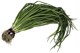 Spring onions