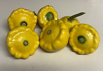 Summer squash